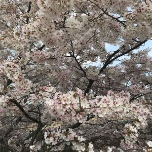 Meet your Posher, Hulya